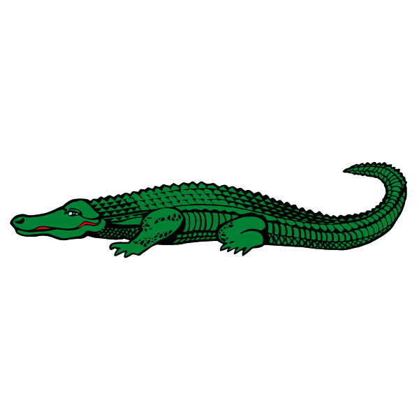 Crocodile 4