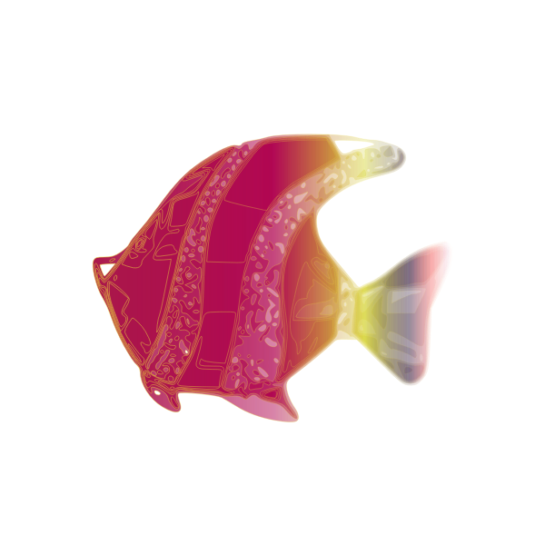 Pink fish