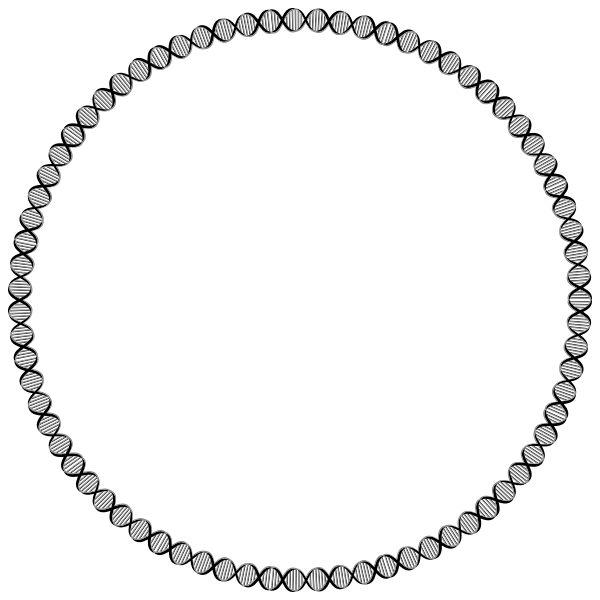 DNA Circle