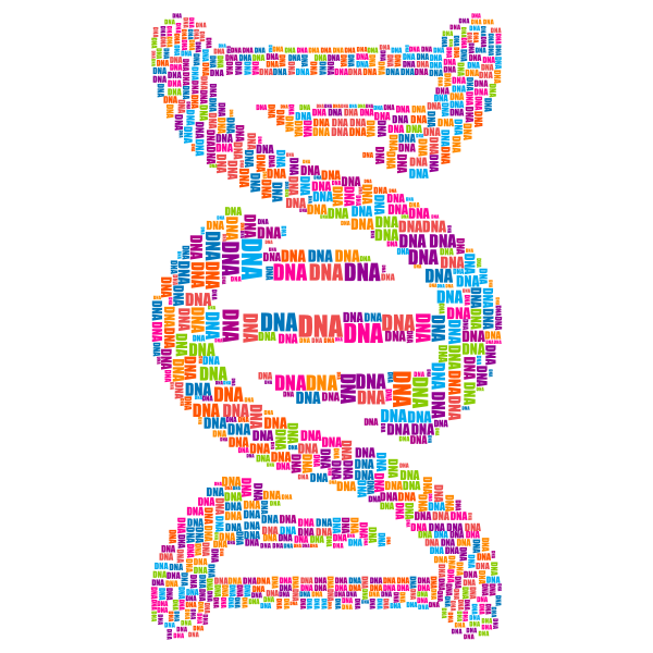 DNA Strand Word Cloud Typography