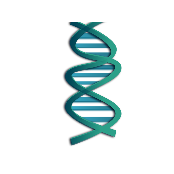 DNA