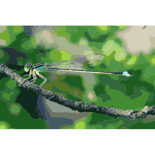 Damselfly (#2)