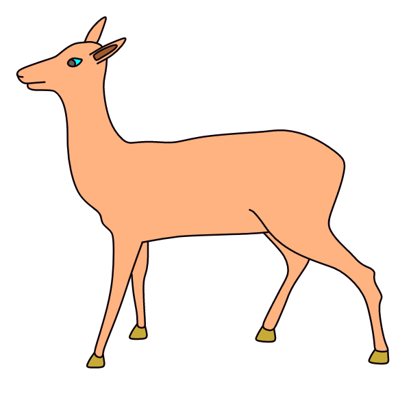 Deer 44