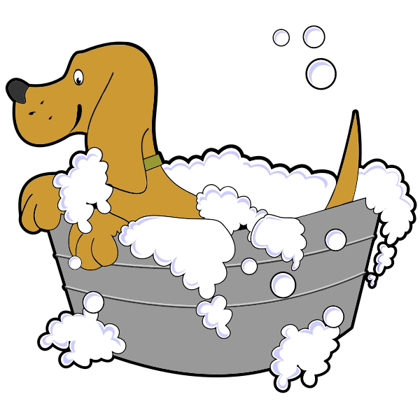 Dog In Washing Tub