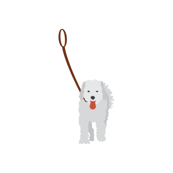 Vector image of a dog on a leash