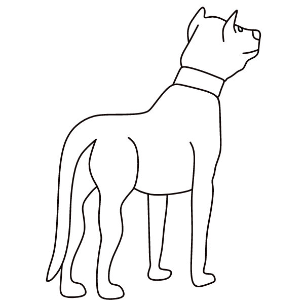 Dog VIII