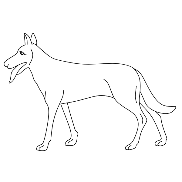 Dog XIII