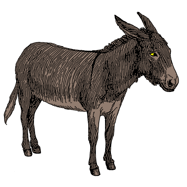 Donkey I