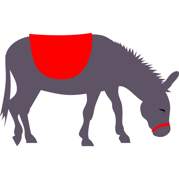 Colorful pasturing donkey