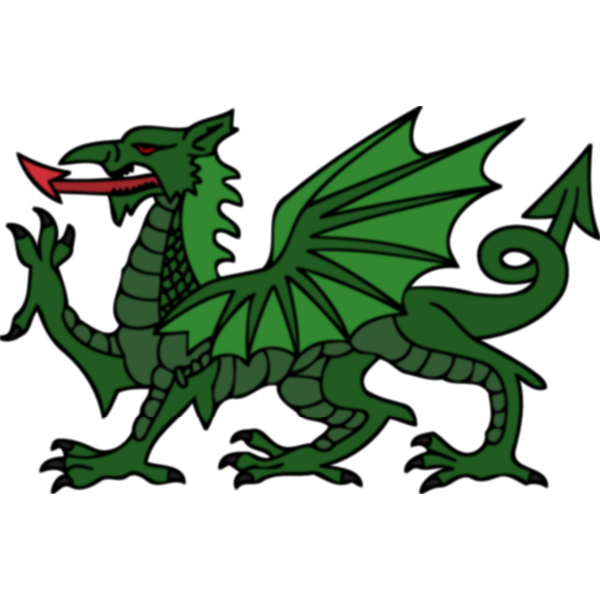 Stylised dragon