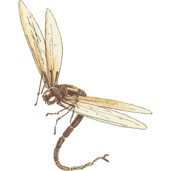 Dragonfly2