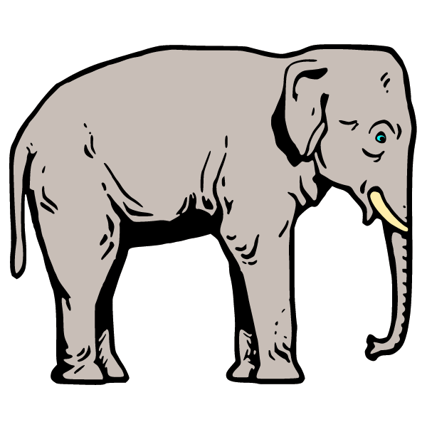 Elephant I