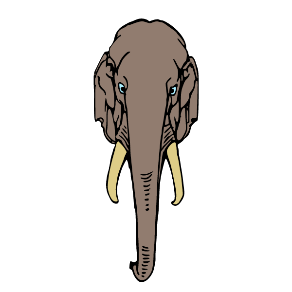 Elephant XXVII