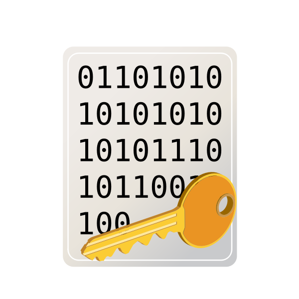 Encrypted file icon vector drawing