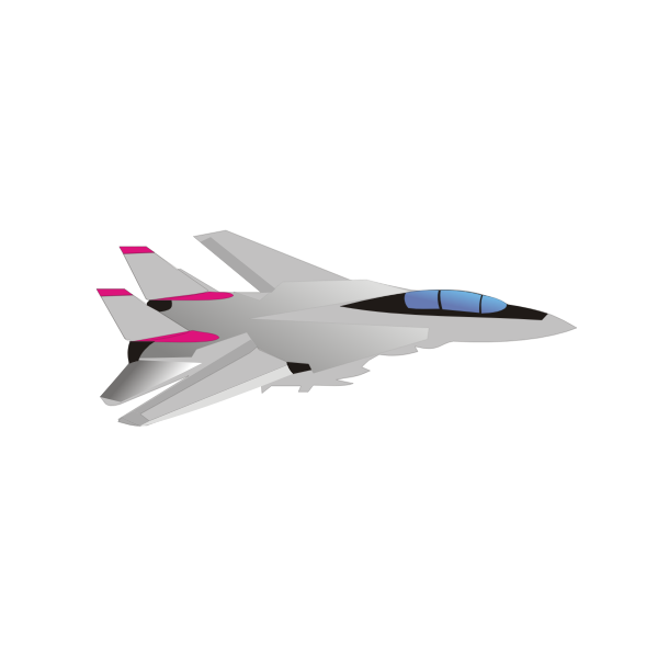 Grumman F-14 Tomcat aircraft vector image