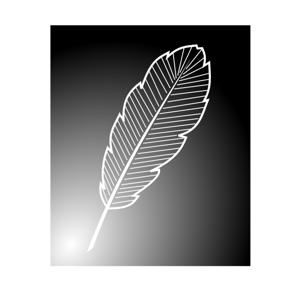 Inverted feather image