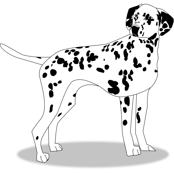 FX13 dalmation