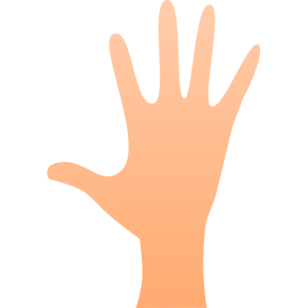 FX13 hand