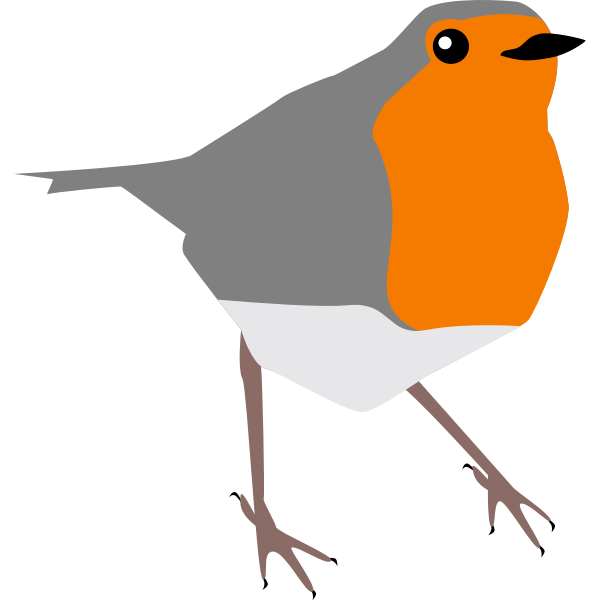 robin bird grey and orange