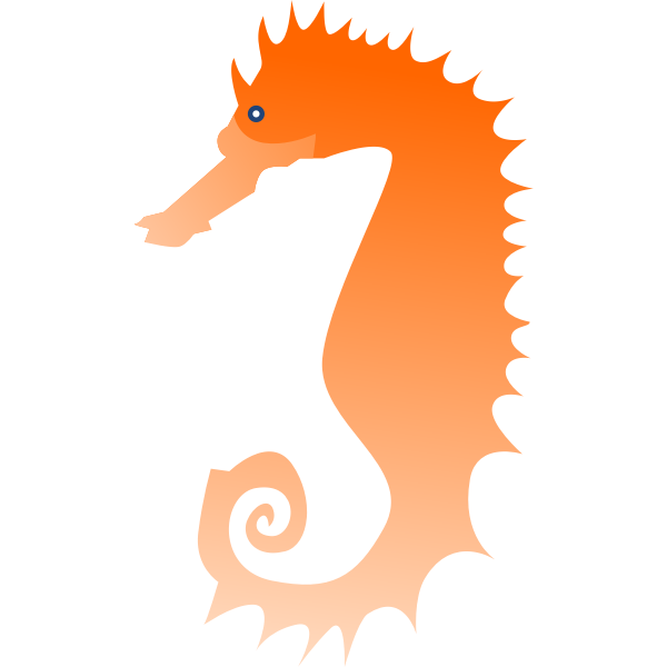 Seahorse-1580132410