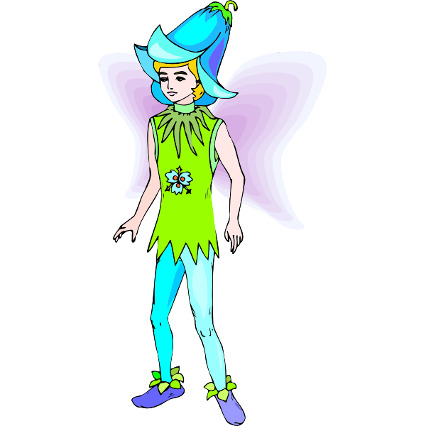 Boy fairy