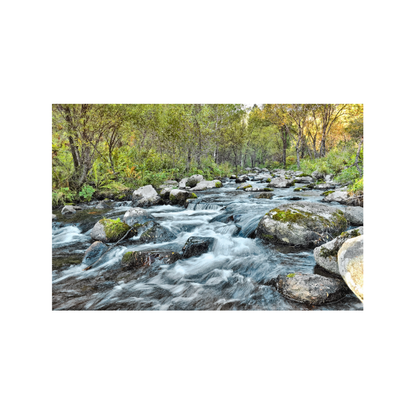 Fast Flowing River In The Woods