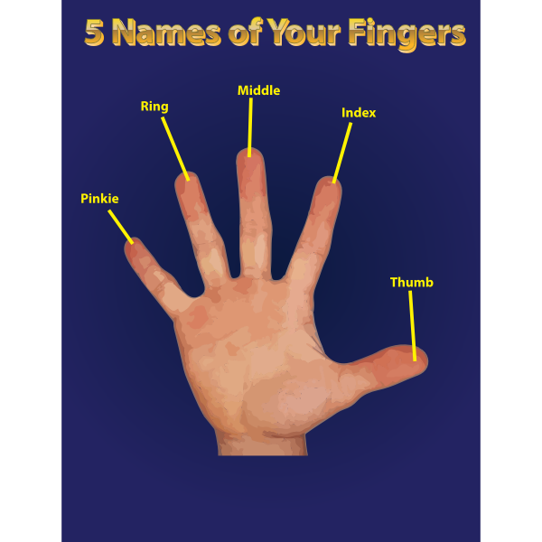 Finger Names Poster