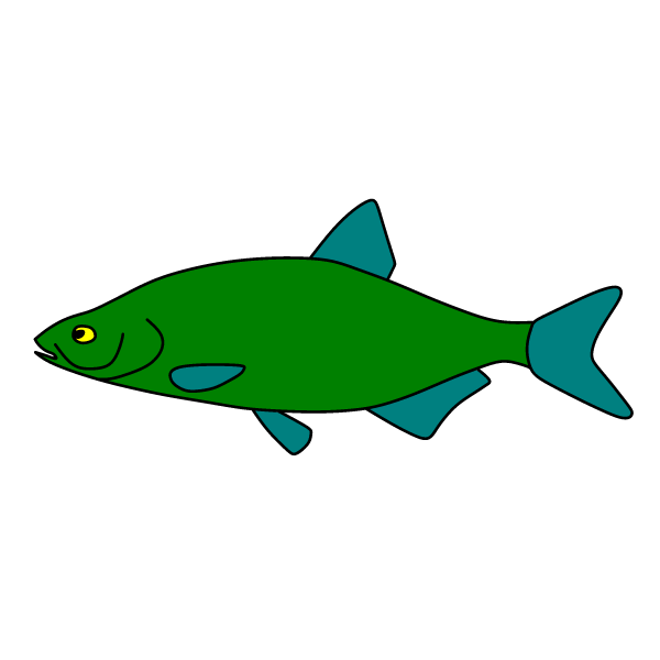 Fish 28