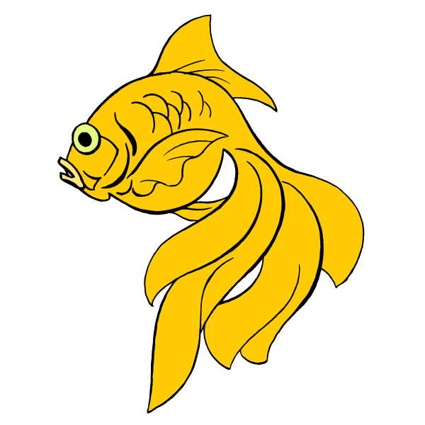 Fish 41