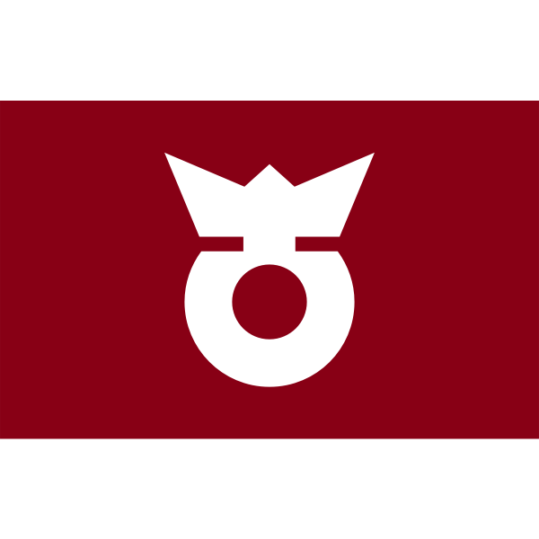 Flag of Koza, Wakayama