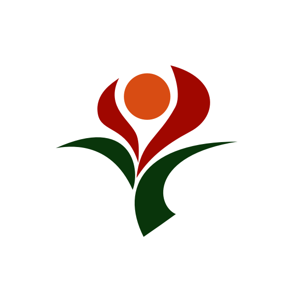 Flag of Soo, Kagoshima