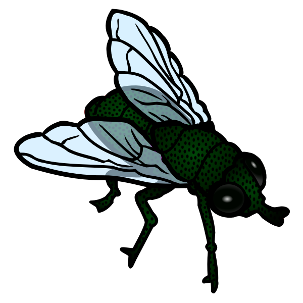 Fly colored line art vector image