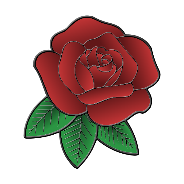 Red rose with leaves
