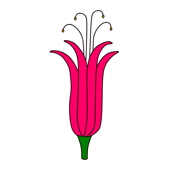 Flower 124