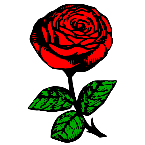 Flower 126-1761367434