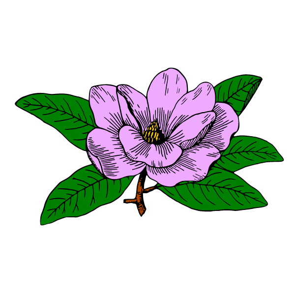 Flower 52