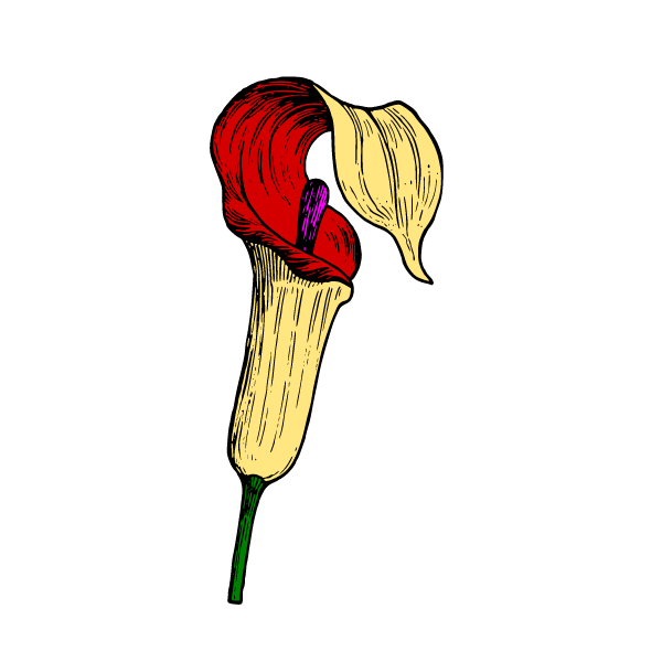 Flower 54