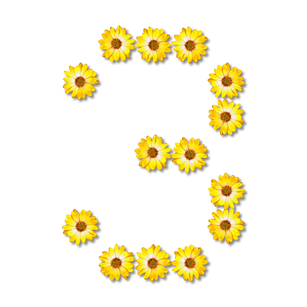 Floral number 3