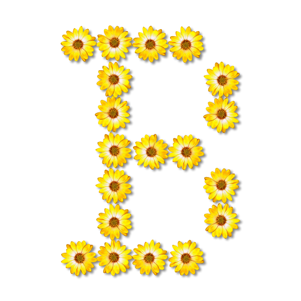 Flowery letter D