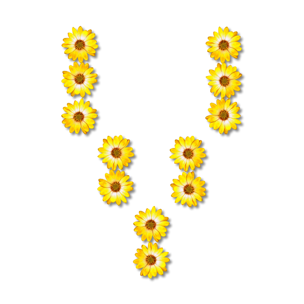 Floral letter V