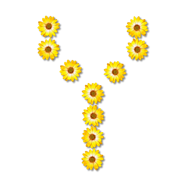 Floral letter Y