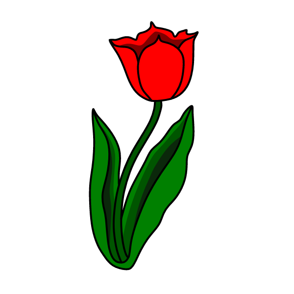 Flowers 53