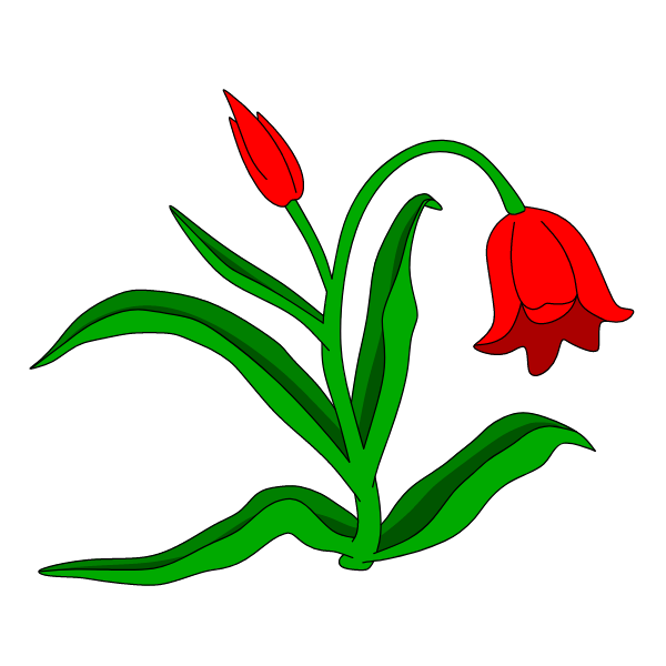 Flowers 63