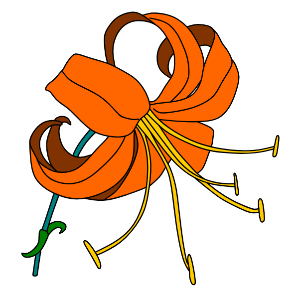 Flowers 66
