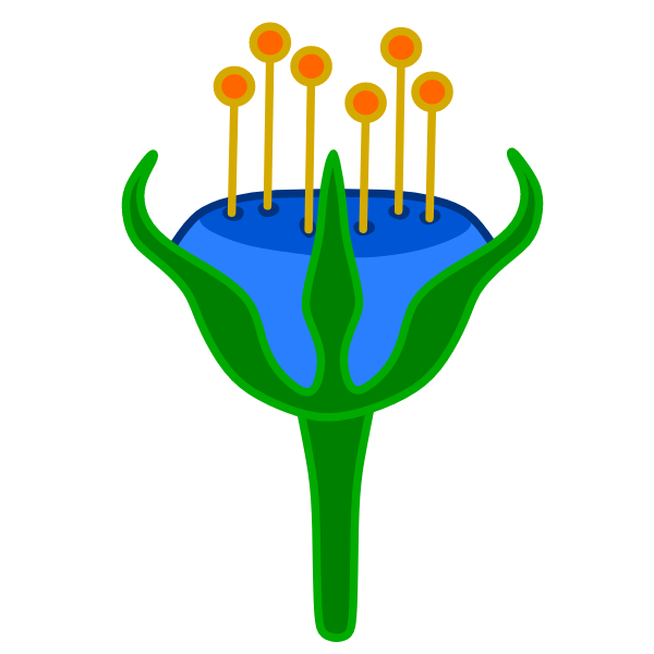 Flowers 68
