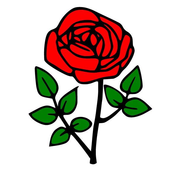 Flowers 79