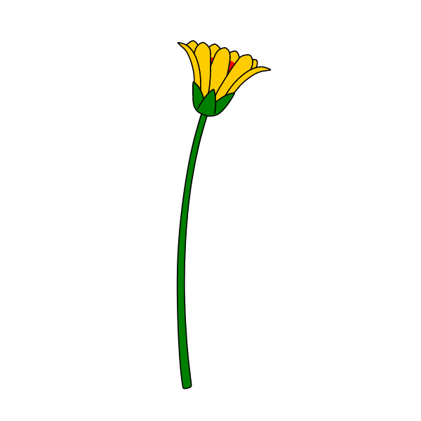 Flowers 87