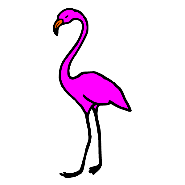 Four flamingos 1