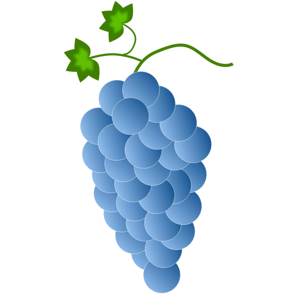 Blue grapes