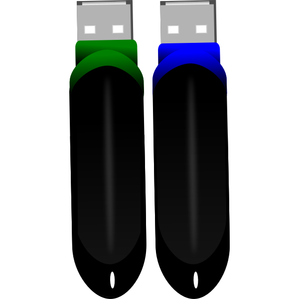 Two flash drives vector image